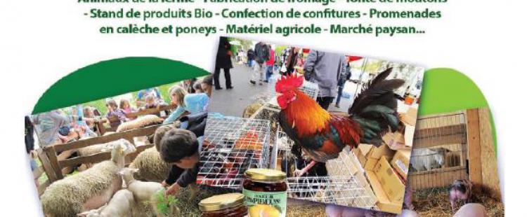 sortie-famille-ferme-ville-vallauris-animaux