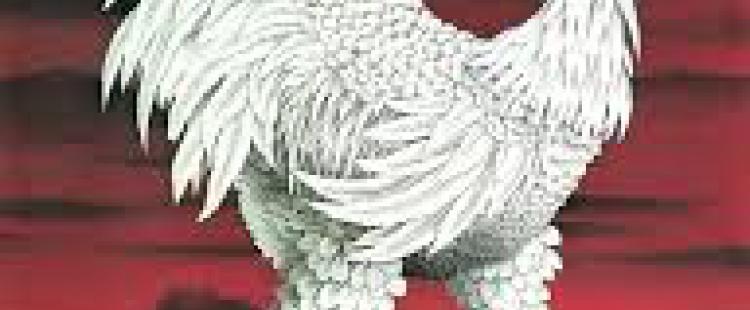 musee-art-naif-nice-horaires-tarifs-visite