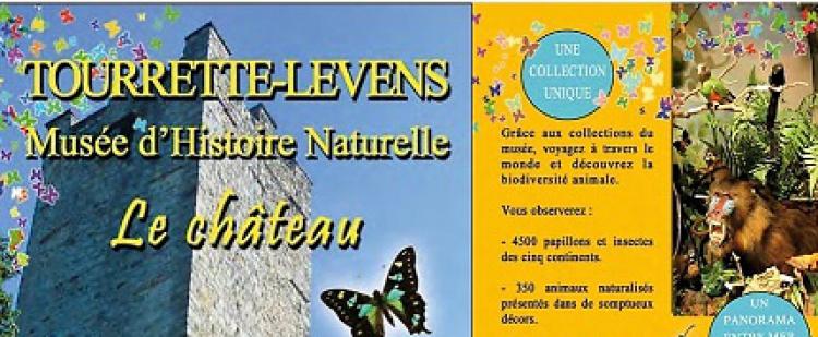 musee-papillons-tourrette-levens-histoire-naturelle