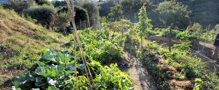 jardins-partages-terra-segurana-colomars-famille