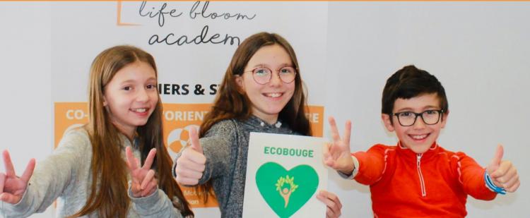 stages-visio-conference-life-bloom-academy