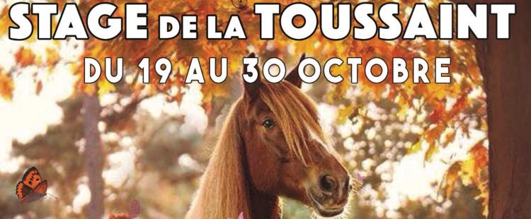 stages-vacances-poney-equitation-hap-tempo
