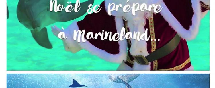 jeu-concours-marineland-noel-animations-famille