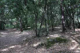 Parc de la Valmasque sortie-enfants-valmasque-parc-alpes-maritimes