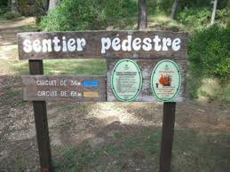 Sentier au Parc de la Valmasque vacances-famille-enfant-balade-foret-06