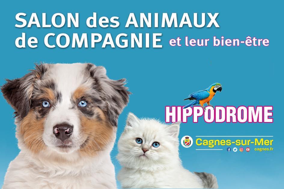 animaux-compagnie-salon-cagnes-sur-mer-famille-adopter-animal