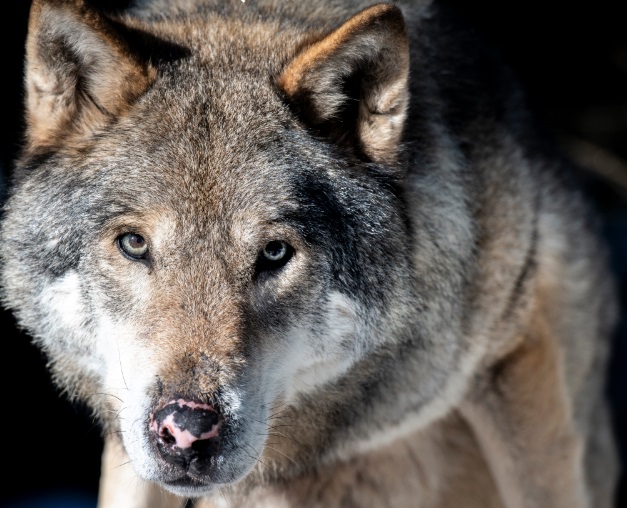 activites-nautiques-loisirs-mer-mediterranee-cote-azur-esterel