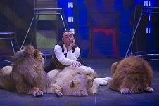 fauves-lions-cirque-arlette-gruss-2016