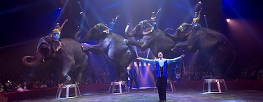 cirque-famille-arlette-gruss-elephants