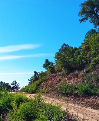 route-mimosa-famille-alpes-maritimes-cote-azur