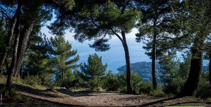 balade-famille-hauteurs-roquebrune-cap-martin