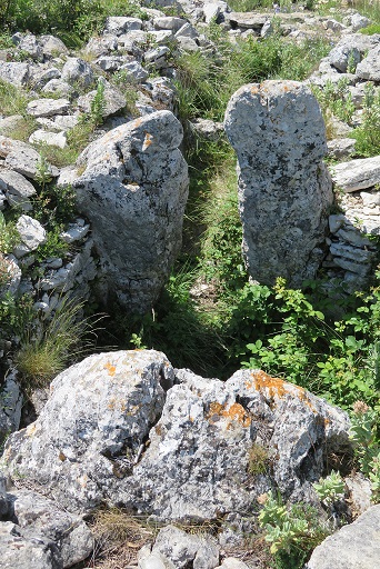 site-megalithique-dolmens-neolithique-alpes-maritimes