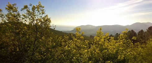 balade-famille-06-circuit-grand-duc-mandelieu