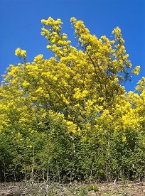 sortie-famille-plein-air-famille-balade-mandelieu