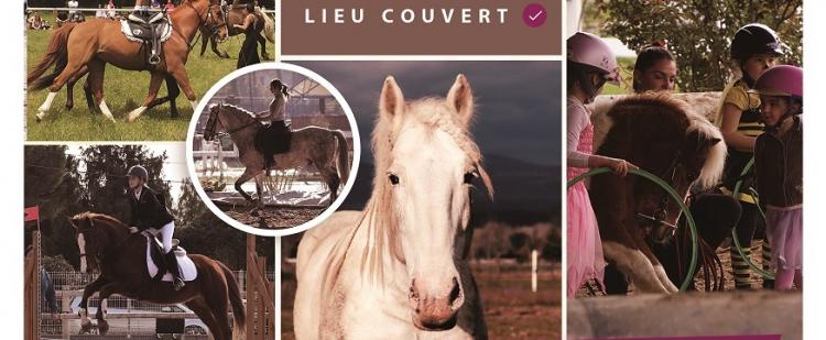 hapotempo-club-equestre-villeneuve-loubet-arts-cirque