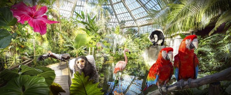 parcs-phoenix-nice-animaux-jardins-enfants