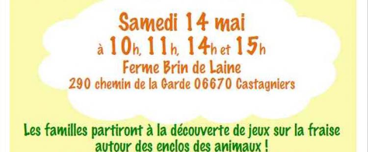 chasse-fraises-ferme-famille-enfants-graines-fermier