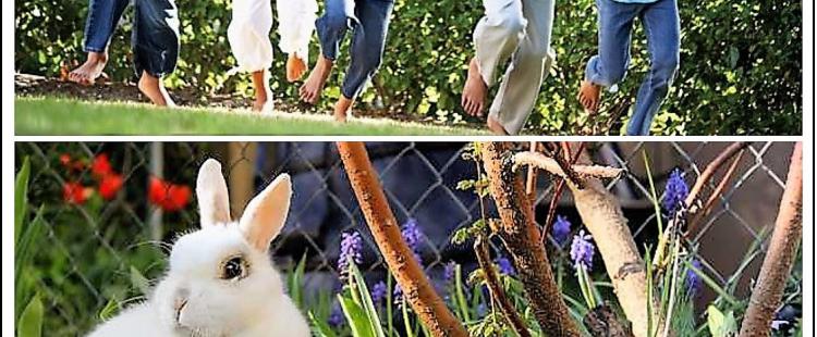 chasse-oeufs-paques-ferme-recreation-champetre