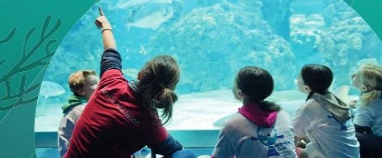 snapper-club-enfants-musee-oceanographique-monaco