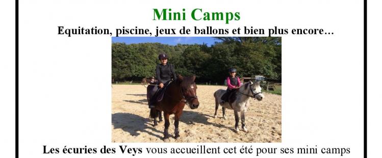 camps-enfants-vacances-equitation-activites-veys